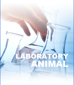 许可证管理背景图